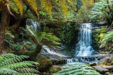 tourist hiking in a national park, taking a photo and looking at a waterfall in a forest in...