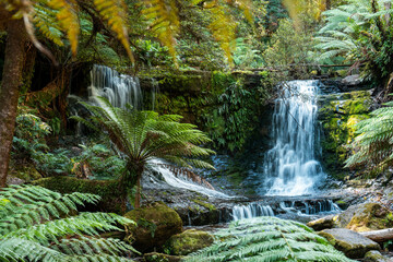 tourist hiking in a national park, taking a photo and looking at a waterfall in a forest in...