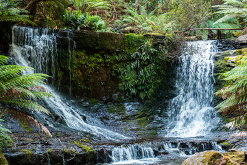 tourist hiking in a national park, taking a photo and looking at a waterfall in a forest in...