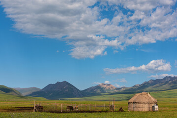 Traditional nomadic yurts on the picturesque Shalkode plateau in southeastern Kazakhstan on a...