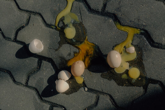 Broken Eggs on Pavement