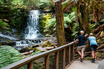 tourist hiking in a national park, taking a photo and looking at a waterfall in a forest in...