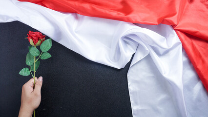 Crumpled red and white Indonesian flag with man hand holding a rose isolated on black background