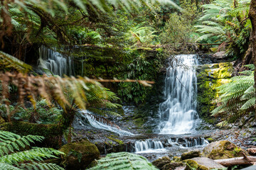 tourist hiking in a national park, taking a photo and looking at a waterfall in a forest in...