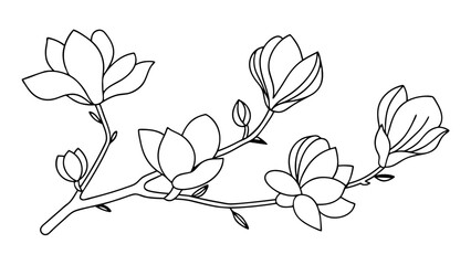 Magnolia flower, magnolia tree branch line art