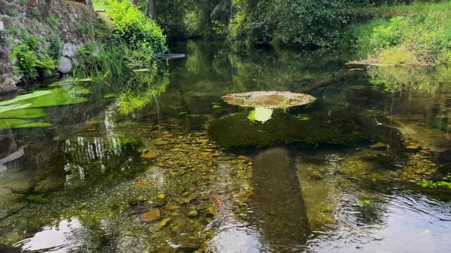 The Vade River, a tributary of the Lima, they converge at Ponte da Barca.
