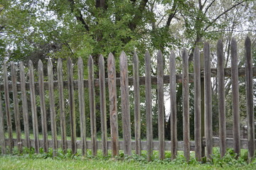 wooden fence and green grass