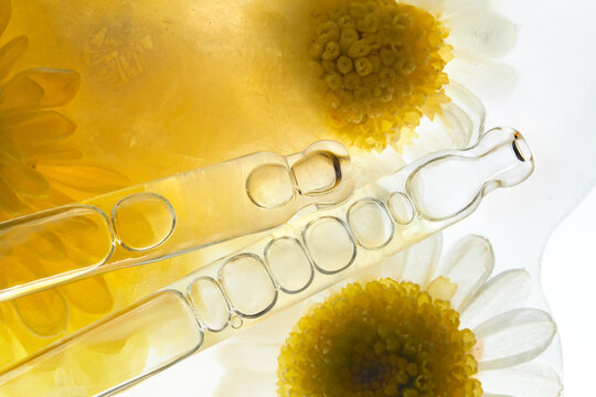 Revitalizing face serum in two pipettes among frozen flowers. 