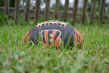 football on grass