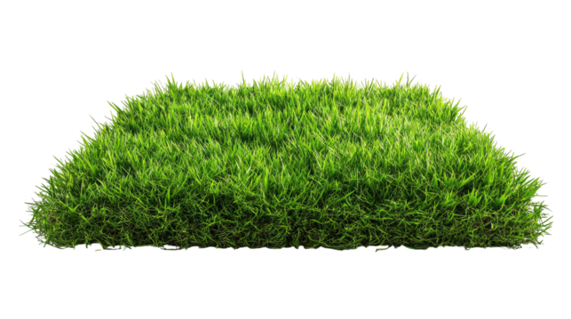 Patch of Fresh Green Lawn Grass Perfectly Trimmed on Transparent Background

