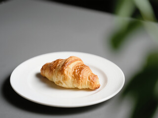 A freshly baked, flaky croissant placed on a white plate over a minimalist gray background with a touch of green leaf blur, creating a clean and cozy food photography scene perfect for breakfast