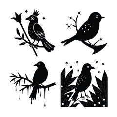 Vector art of a charming set of birds with unique features, isolated on white background