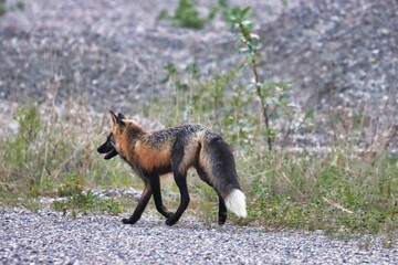 Yukon Territories, Canada