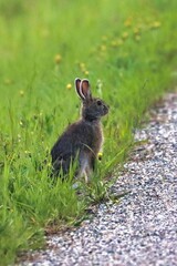 Yukon Territories, Canada