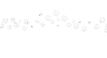 Paw prints pattern isolated PNG with Transparent Background
