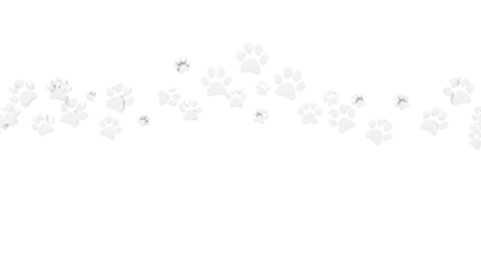 Paw prints pattern isolated PNG with Transparent Background