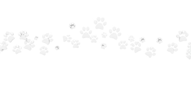 Paw prints pattern isolated PNG with Transparent Background - Powered by Adobe