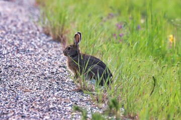 Yukon Territories, Canada