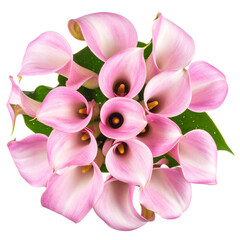  Bouquet of pastel pink calla lilies arranged in a spiral, isolated on white background PNG