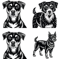 Foreigner Dog Vector Silhouette Bundle Collection. Dog Vector