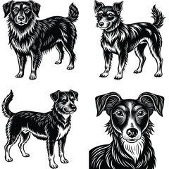 Foreigner Dog Vector Silhouette Bundle Collection. Dog Vector