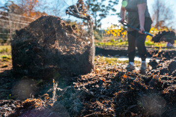 turning a compost pile in a community garden. compost full of microorganisms. sustainable...