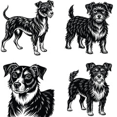Foreigner Dog Vector Silhouette Bundle Collection. Dog Vector