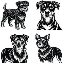 Foreigner Dog Vector Silhouette Bundle Collection. Dog Vector