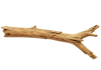 Fototapeta premium A piece of weathered driftwood lies horizontally, isolated on transparent background