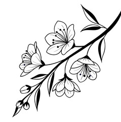 Obraz premium Elegant Black and White Cherry Blossom Branch Illustration Design