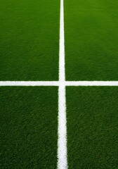 Obraz premium a well-maintained green grass field with a thick white line running horizontally across the center. Thick horizontal white painted line is running across green grass turf in flat vector illustration, 