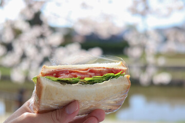 川辺のピクニックでBLTサンドイッチを持っている様子