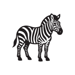 zebra vector illustration
