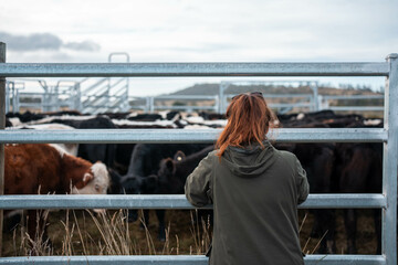 regenerative organic farmer, taking soil samples and looking at plant growth in a farm. practicing...