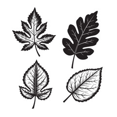 Elegant black and white leaf ornament set for decorative designs and natural themes