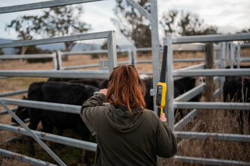 regenerative organic farmer, taking soil samples and looking at plant growth in a farm. practicing...