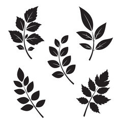 Elegant vector leaf ornament set in black and white isolated on a clean white background design elements