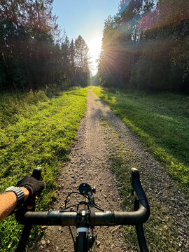 Gravel bike ride through sunlit forest path