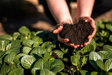 women in agriculture looking at a soil sample. girl on a farm looking at plant roots, female farmer looking at ecosystem health © William