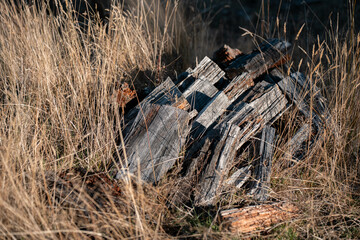 female famer Loading Firewood on a ute Preparing for Winter with Sustainable Home Heating. Hardworking Hands Gathering Wood for a Warm stacking wood pile