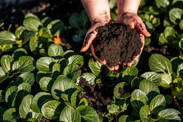 women in agriculture looking at a soil sample. girl on a farm looking at plant roots, female farmer...