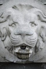 Stone lion head water fountain in Vilnius