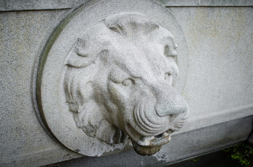 Stone lion face with water drain in urban Vilnius setting