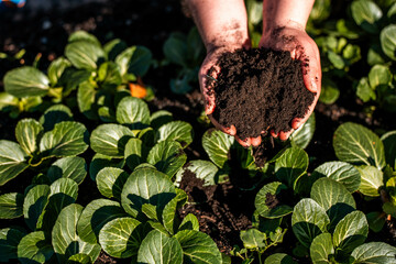 women in agriculture looking at a soil sample. girl on a farm looking at plant roots, female farmer...