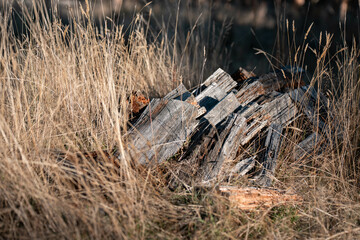 stacking firewood on the back of a ute sustainably sourced from the forest in australia