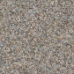 A small bird perched on a rock amidst the chaos of a flooded basement highlighting nature's resilience and adaptability