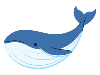 Sea Animal Whale Underwater Marine Life