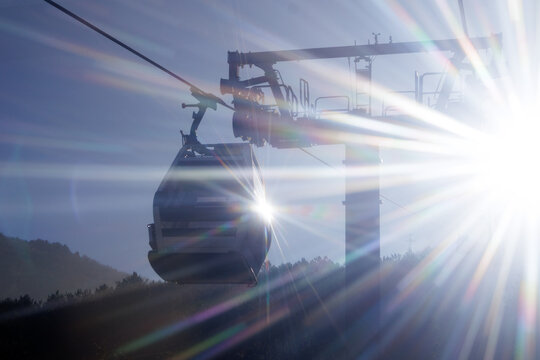 Cable car over pine forest