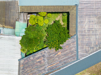 Garden Oasis Surrounded by Metal Roofs
