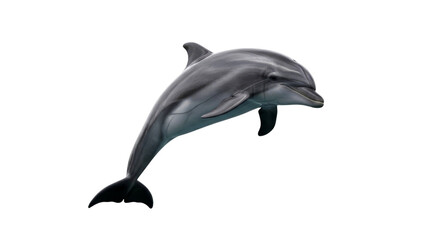 Majestic Dolphin Leaping: An Underwater Ballet of Grace and Power